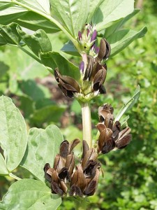 252186_10150320152630860_4330575_n