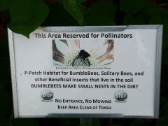 Ironic that the knotweed was being removed next to this sign -- Ironic that the knotweed was being removed next to this sign