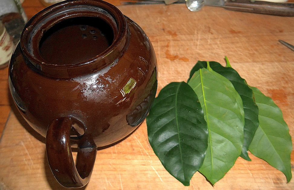 Coffee Tea Edimentals