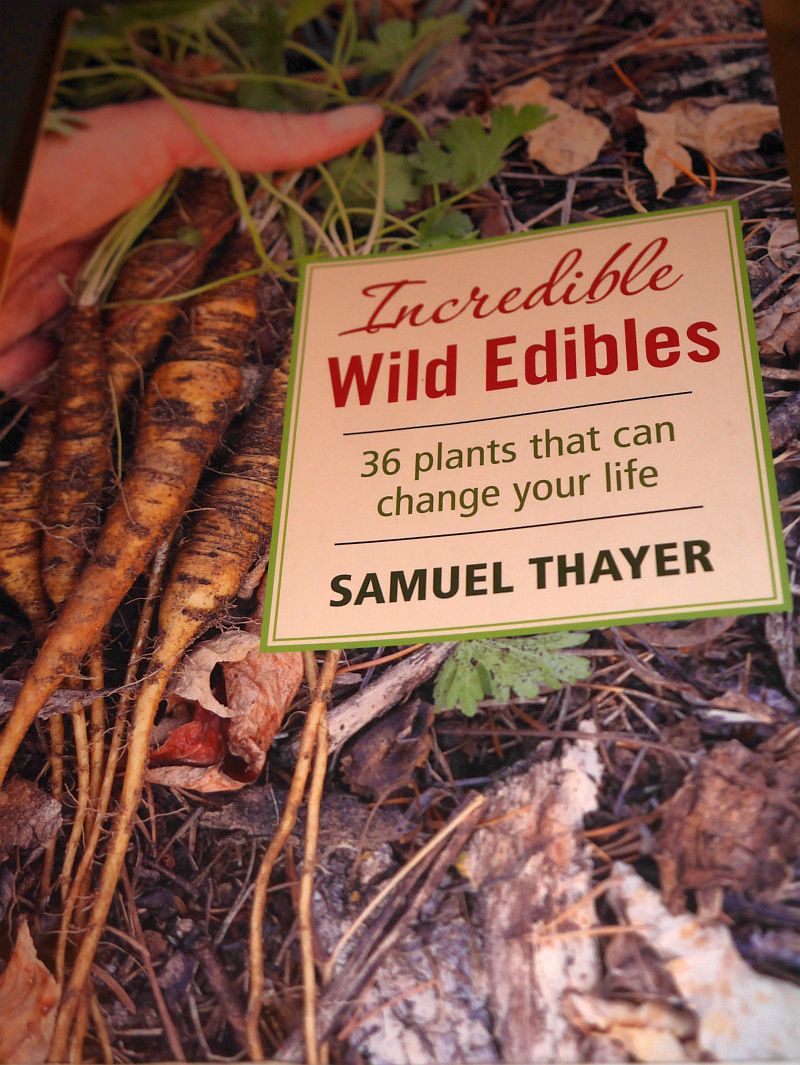 Incredible Wild Edibles: 36 Plants That Can Change Your Life By Samuel ...